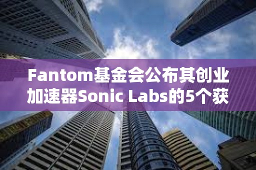 Fantom基金會公布其創(chuàng)業(yè)加速器Sonic Labs的5個獲獎項目