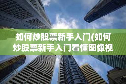 如何炒股票新手入門(如何炒股票新手入門看懂圖像視頻) 如何炒股票新手入門(如何炒股票新手入門看懂圖像視頻)