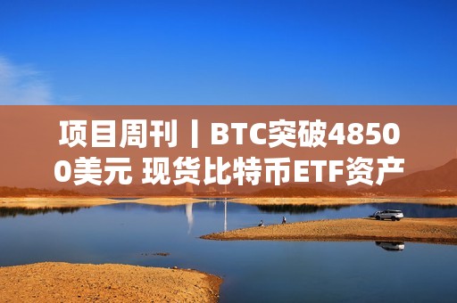 項目周刊丨BTC突破48500美元 現貨比特幣ETF資產管理規模達100億美元里程碑