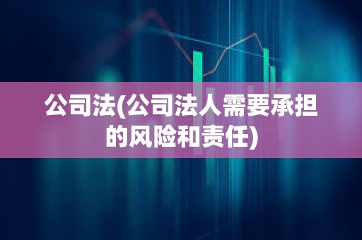 公司法(公司法人需要承擔的風險和責任) 公司法(公司法人需要承擔的風險和責任)