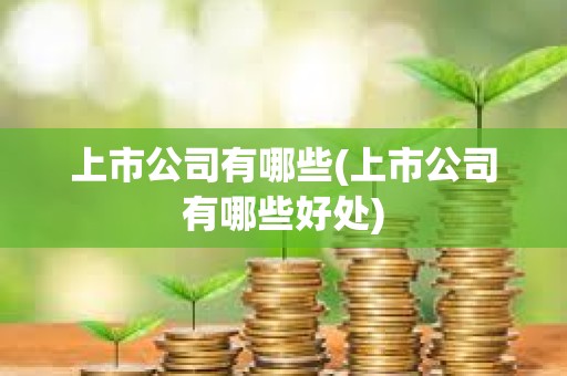 上市公司有哪些(上市公司有哪些好處)