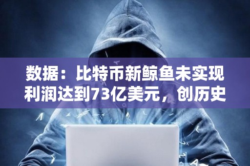 數據：比特幣新鯨魚未實現利潤達到73億美元，創歷史新高