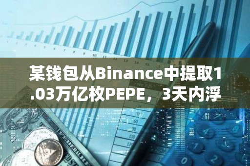某錢包從Binance中提取1.03萬億枚PEPE，3天內浮盈134萬美元