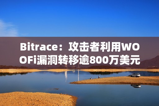 Bitrace：攻擊者利用WOOFi漏洞轉(zhuǎn)移逾800萬美元ETH
