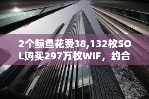 2個(gè)鯨魚花費(fèi)38,132枚SOL購買297萬枚WIF，約合500萬美元