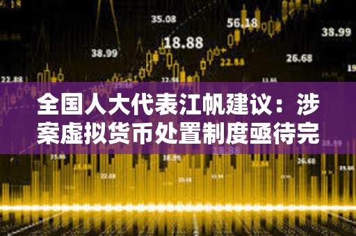 全國人大代表江帆建議：涉案虛擬貨幣處置制度亟待完善