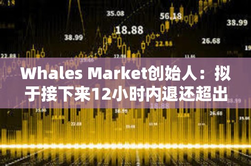 Whales Market創(chuàng)始人：擬于接下來(lái)12小時(shí)內(nèi)退還超出金額