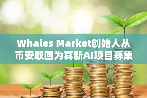 Whales Market創始人從幣安取回為其新AI項目募集的10%SOL