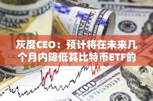 灰度CEO：預計將在未來幾個月內降低其比特幣ETF的費用