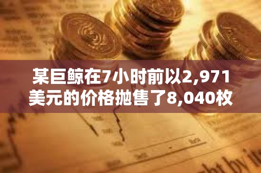 某巨鯨在7小時(shí)前以2,971美元的價(jià)格拋售了8,040枚ETH