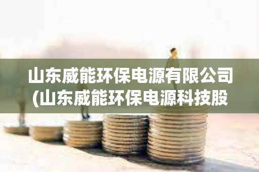 山東威能環保電源有限公司(山東威能環保電源科技股份有限公司)