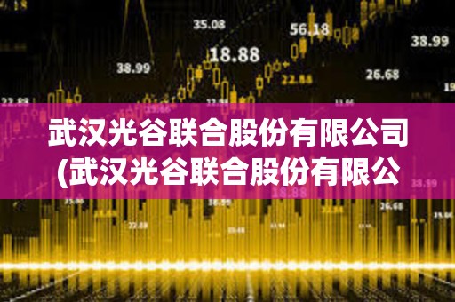武漢光谷聯合股份有限公司(武漢光谷聯合股份有限公司是國企嗎)