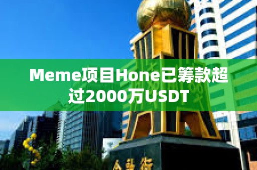 Meme項目Hone已籌款超過2000萬USDT