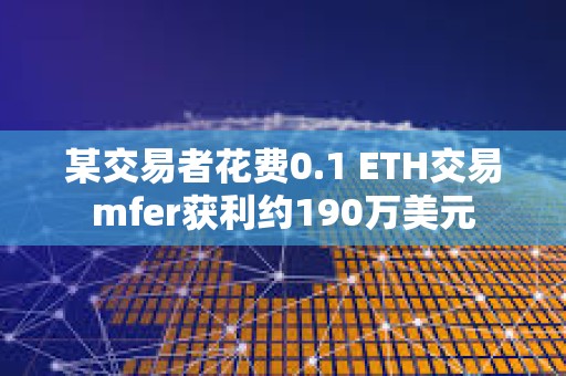 某交易者花費(fèi)0.1 ETH交易mfer獲利約190萬美元