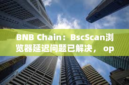 BNB Chain：BscScan瀏覽器延遲問題已解決， opBNB仍在處理