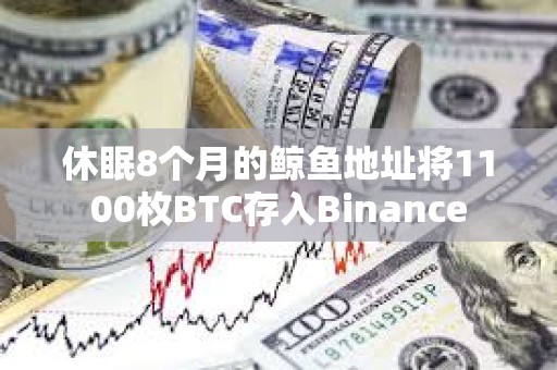 休眠8個月的鯨魚地址將1100枚BTC存入Binance