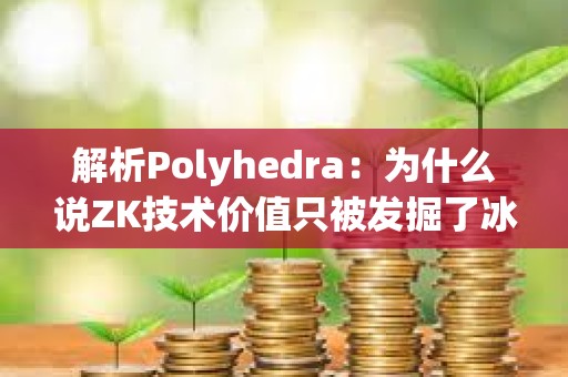 解析Polyhedra：為什么說(shuō)ZK技術(shù)價(jià)值只被發(fā)掘了冰山一角？