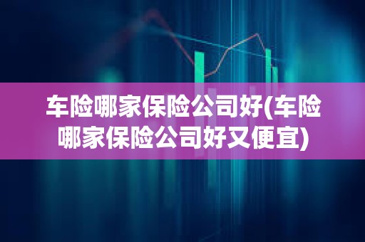 車險哪家保險公司好(車險哪家保險公司好又便宜) 車險哪家保險公司好(車險哪家保險公司好又便宜)