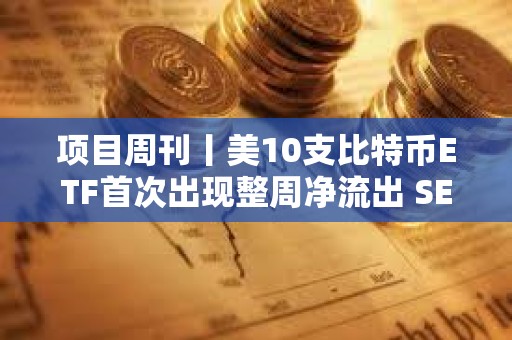 項目周刊丨美10支比特幣ETF首次出現整周凈流出 SEC發起將以太坊歸類為證券的法律運動