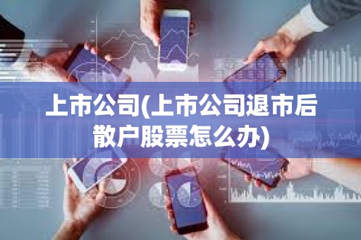 上市公司(上市公司退市后散戶股票怎么辦) 上市公司(上市公司退市后散戶股票怎么辦)