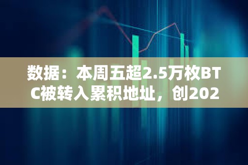 數(shù)據(jù)：本周五超2.5萬枚BTC被轉(zhuǎn)入累積地址，創(chuàng)2024年迄今最高紀錄