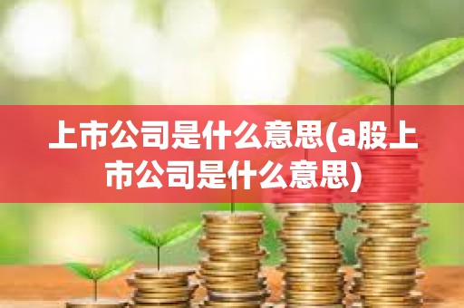 上市公司是什么意思(a股上市公司是什么意思) 上市公司是什么意思(a股上市公司是什么意思)