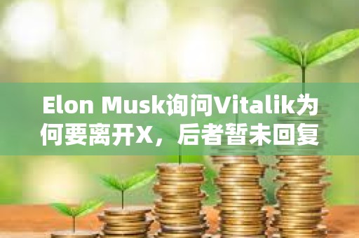 Elon Musk詢問Vitalik為何要離開X，后者暫未回復