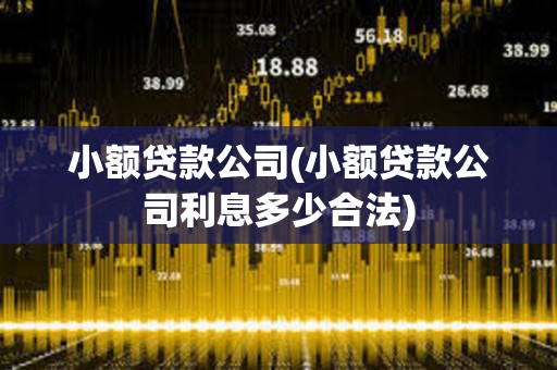 小額貸款公司(小額貸款公司利息多少合法) 小額貸款公司(小額貸款公司利息多少合法)