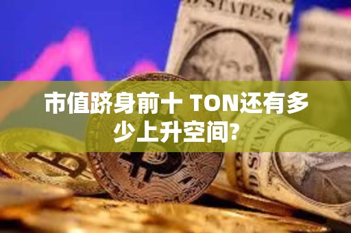 市值躋身前十 TON還有多少上升空間?