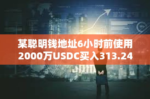某聰明錢地址6小時前使用2000萬USDC買入313.24枚WBTC