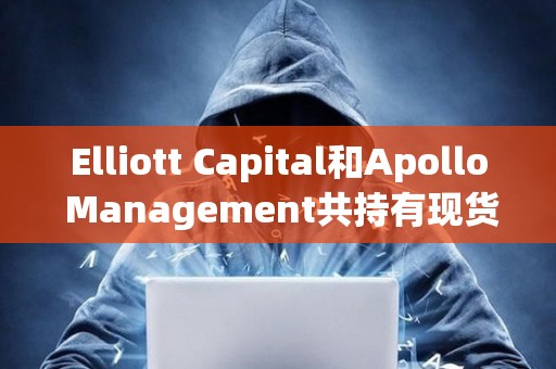 Elliott Capital和Apollo Management共持有現(xiàn)貨比特幣ETF價值約6500萬美元