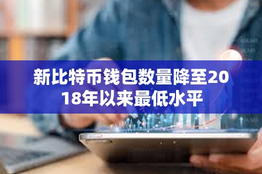 新比特幣錢包數量降至2018年以來最低水平