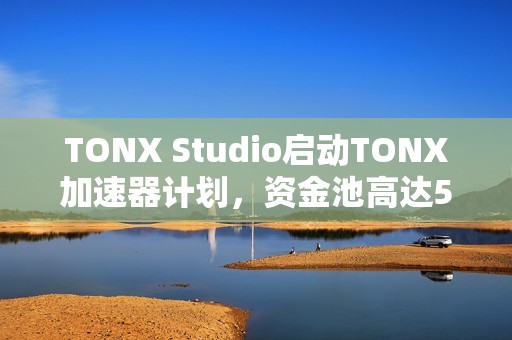 TONX Studio啟動TONX加速器計(jì)劃，資金池高達(dá)500萬美元