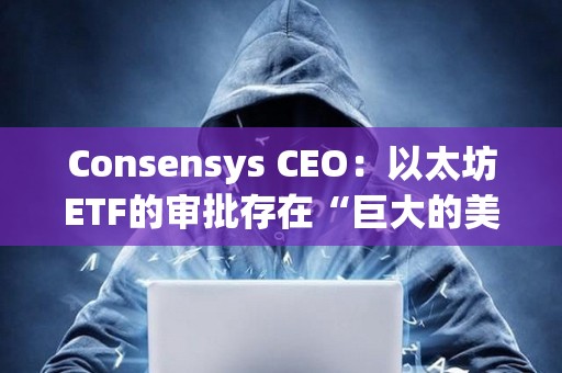 Consensys CEO：以太坊ETF的審批存在“巨大的美國政治問題”