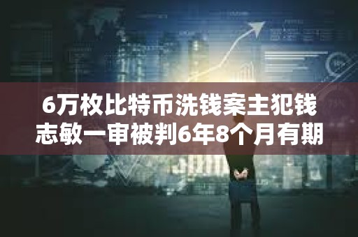 6萬(wàn)枚比特幣洗錢案主犯錢志敏一審被判6年8個(gè)月有期徒刑