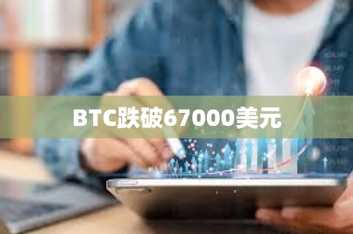 BTC跌破67000美元