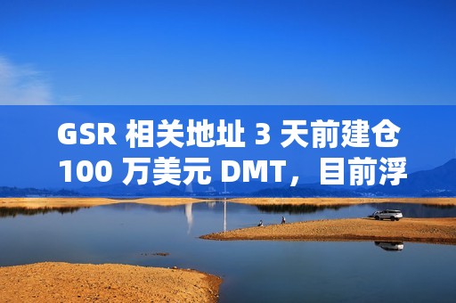 GSR 相關地址 3 天前建倉 100 萬美元 DMT，目前浮盈 24%