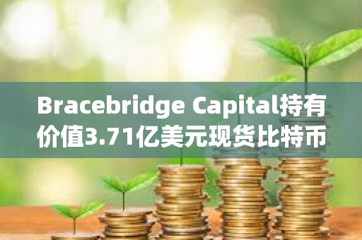 Bracebridge Capital持有價值3.71億美元現貨比特幣ETF，系IBIT和ARKB頭號持有人