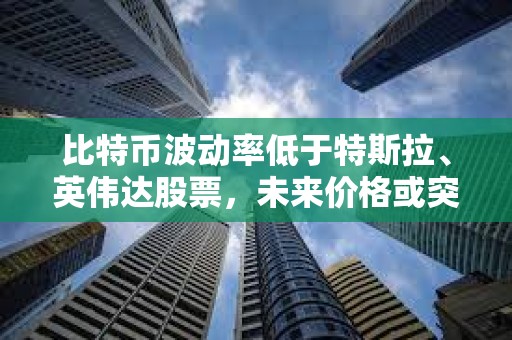 比特幣波動率低于特斯拉、英偉達股票，未來價格或突破10萬美元