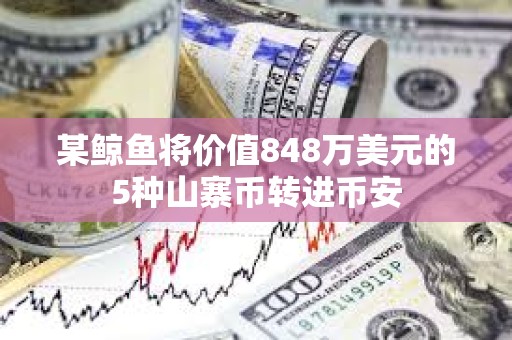 某鯨魚將價值848萬美元的5種山寨幣轉進幣安