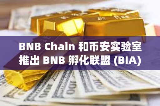 BNB Chain 和幣安實驗室推出 BNB 孵化聯盟 (BIA)