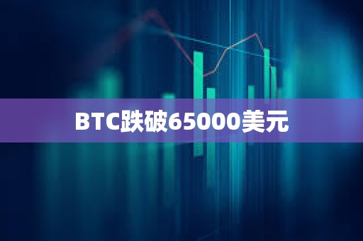 BTC跌破65000美元