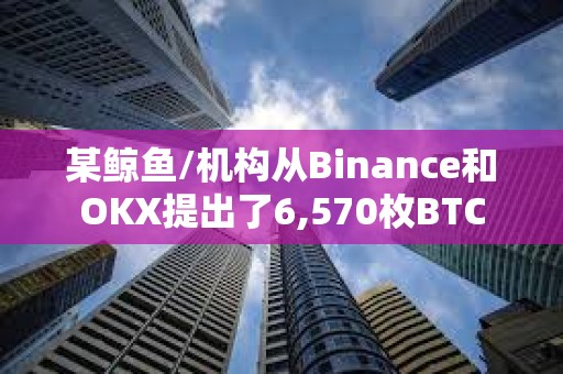 某鯨魚/機構從Binance和OKX提出了6,570枚BTC