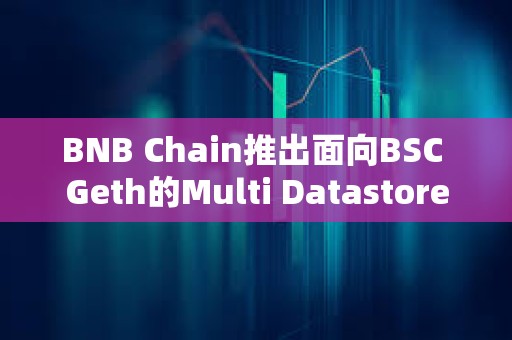 BNB Chain推出面向BSC Geth的Multi Datastore，可分割數(shù)據(jù)庫