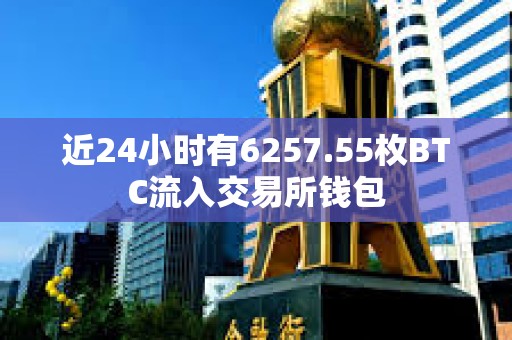 近24小時有6257.55枚BTC流入交易所錢包