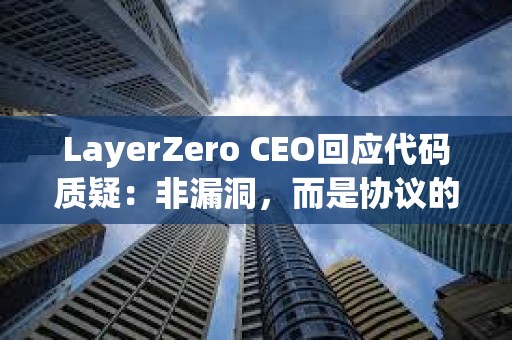 LayerZero CEO回應代碼質疑：非漏洞，而是協議的設計原則
