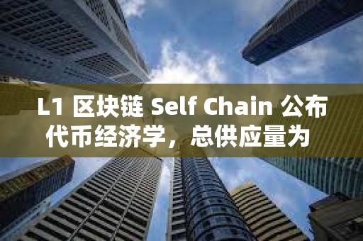 L1 區(qū)塊鏈 Self Chain 公布代幣經(jīng)濟(jì)學(xué)，總供應(yīng)量為 3.6 億枚