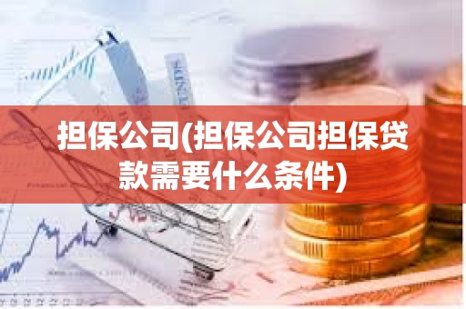 擔保公司(擔保公司擔保貸款需要什么條件)