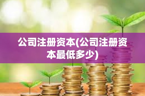 公司注冊資本(公司注冊資本最低多少)