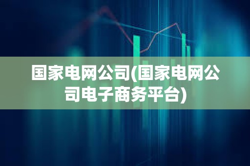 國家電網公司(國家電網公司電子商務平臺)